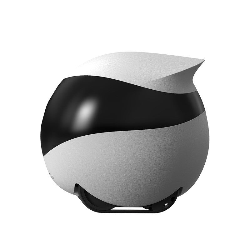 EBO SE Home Robot Pet Monitoring Mobile Camera