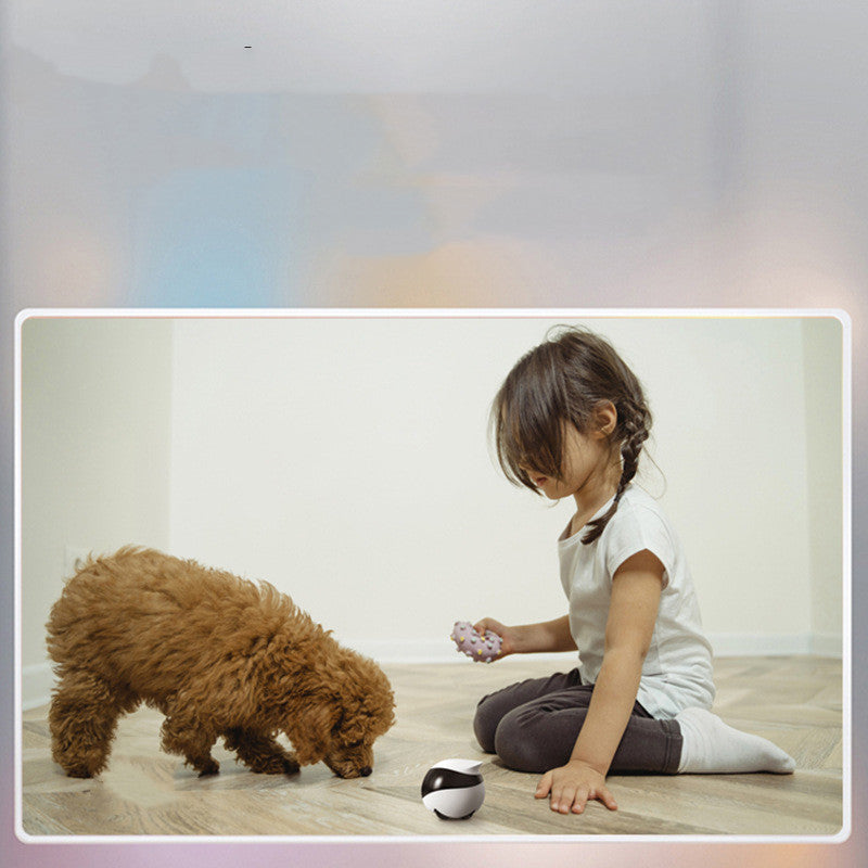 EBO SE Home Robot Pet Monitoring Mobile Camera