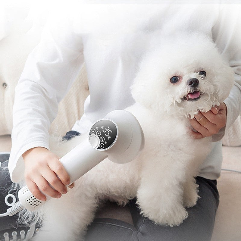 Smart Pet Hair Dryer Dog Golden Retriever Cat Grooming Hairdressing Blow & Comb