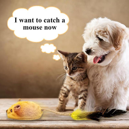 Interactive Cat Toys Mouse With LED Lights Catnip Toys Forinteractive Toys