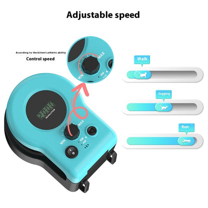 Cat Weight Loss Remote Control Sound Toy